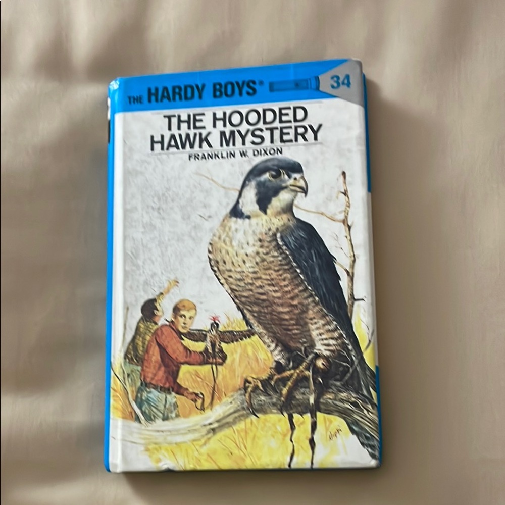 The Hardy Boys: The Hooded Hawk Mystery Book